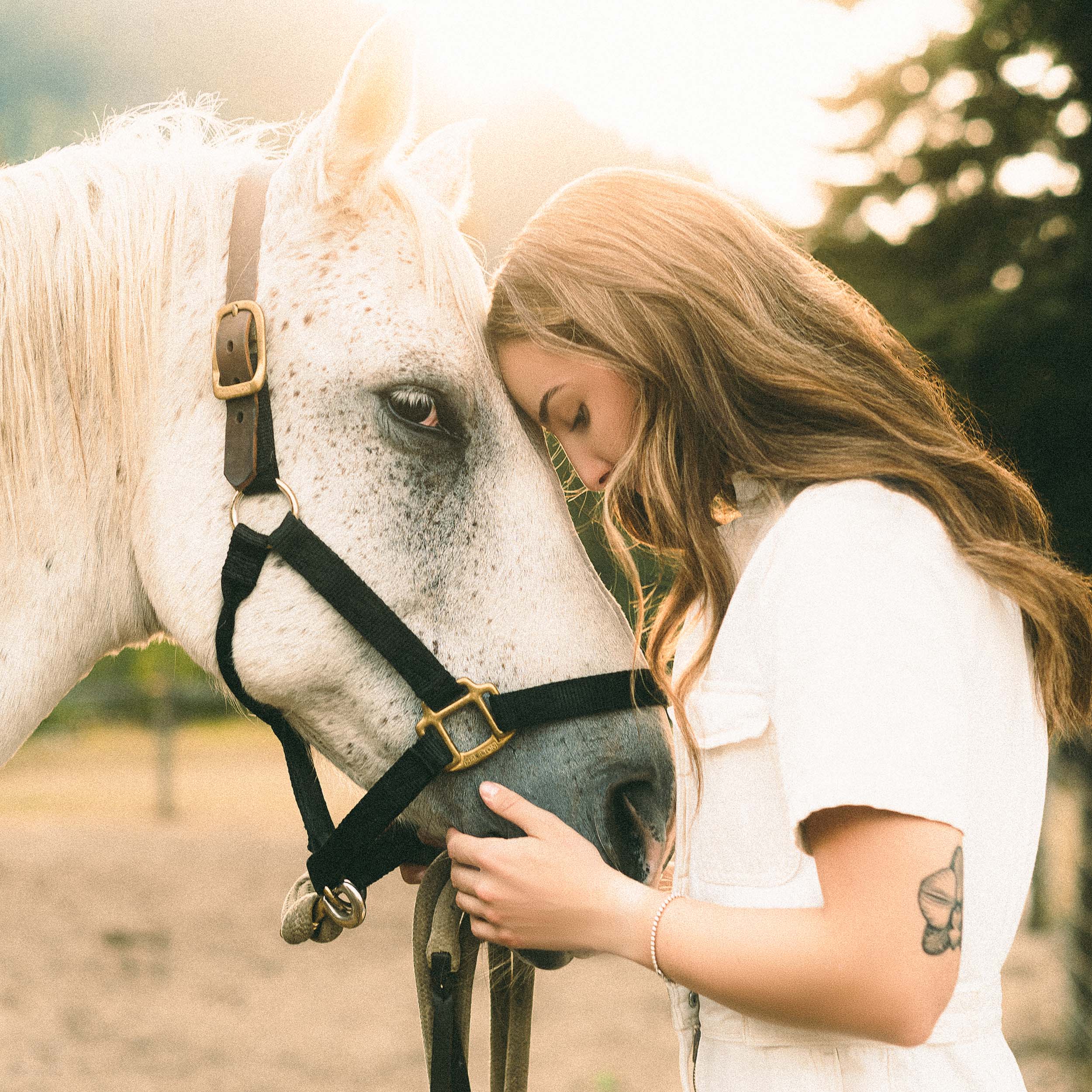 Creative Editorial Portraits with Horses on a Private Ranch in Montana